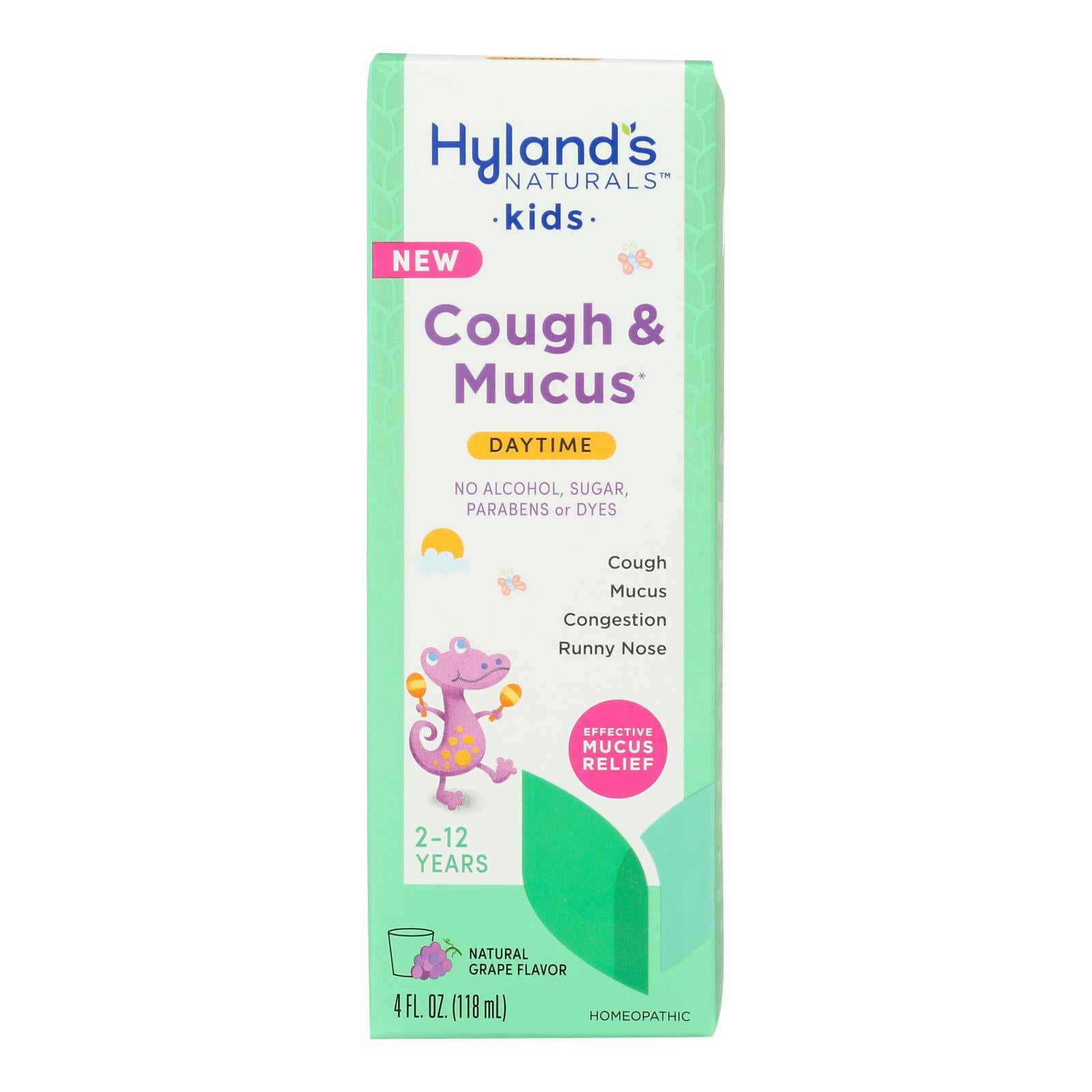 Hyland's - Kids Cough & Mucus Day - 1 Each-4 Fz - GreatEagleInc