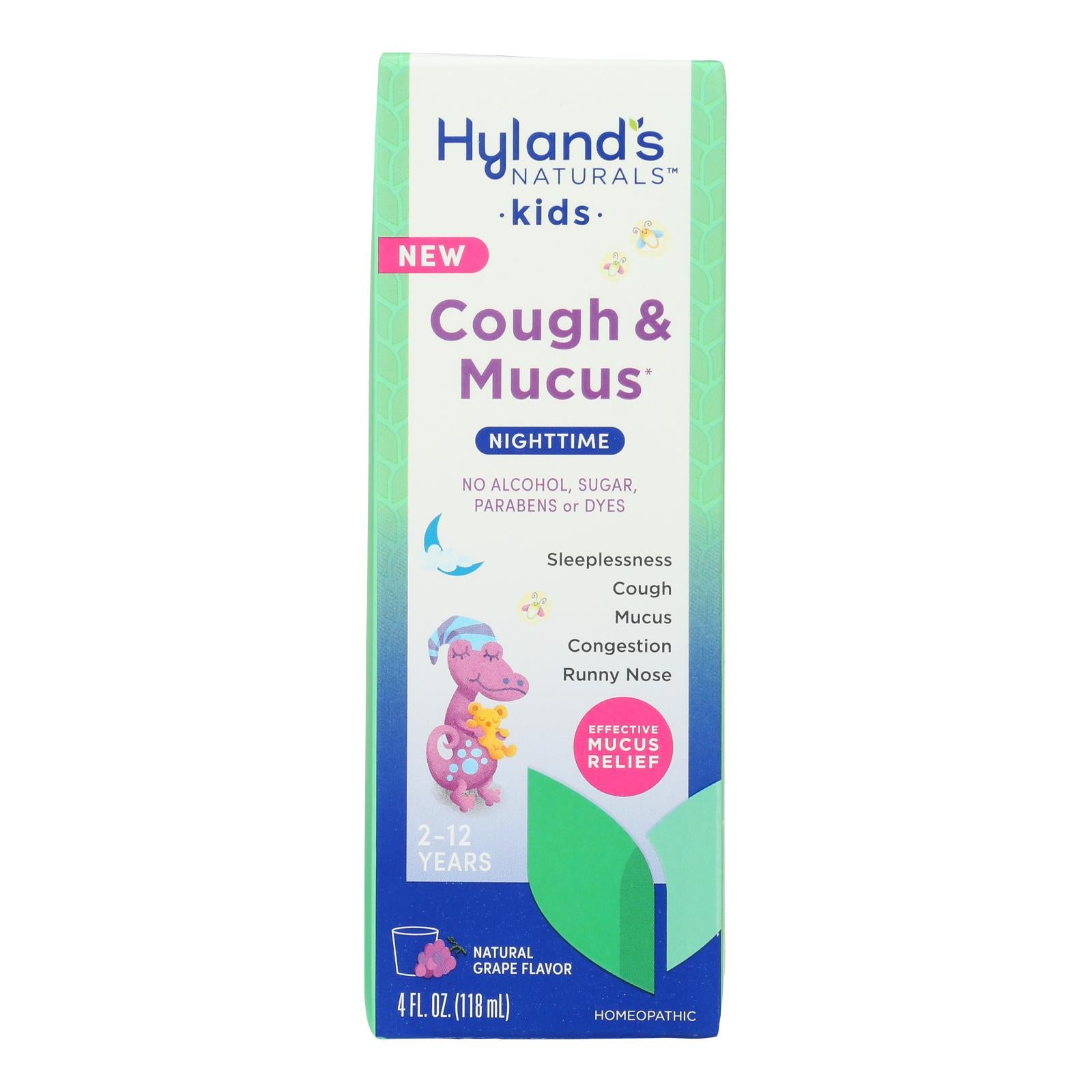 Hyland's - Kids Cough & Mucus Nghtme - 1 Each-4 Fz - GreatEagleInc