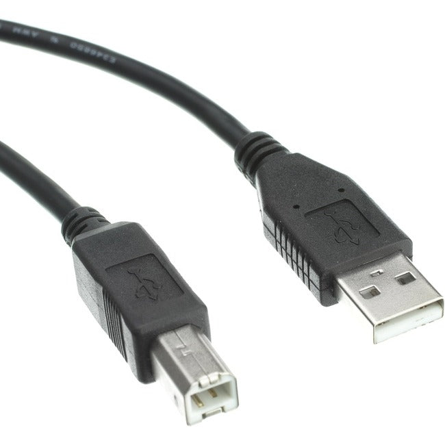 Accortec USB 2.0 Type-A to Type-B Cable M/M 3ft - GreatEagleInc