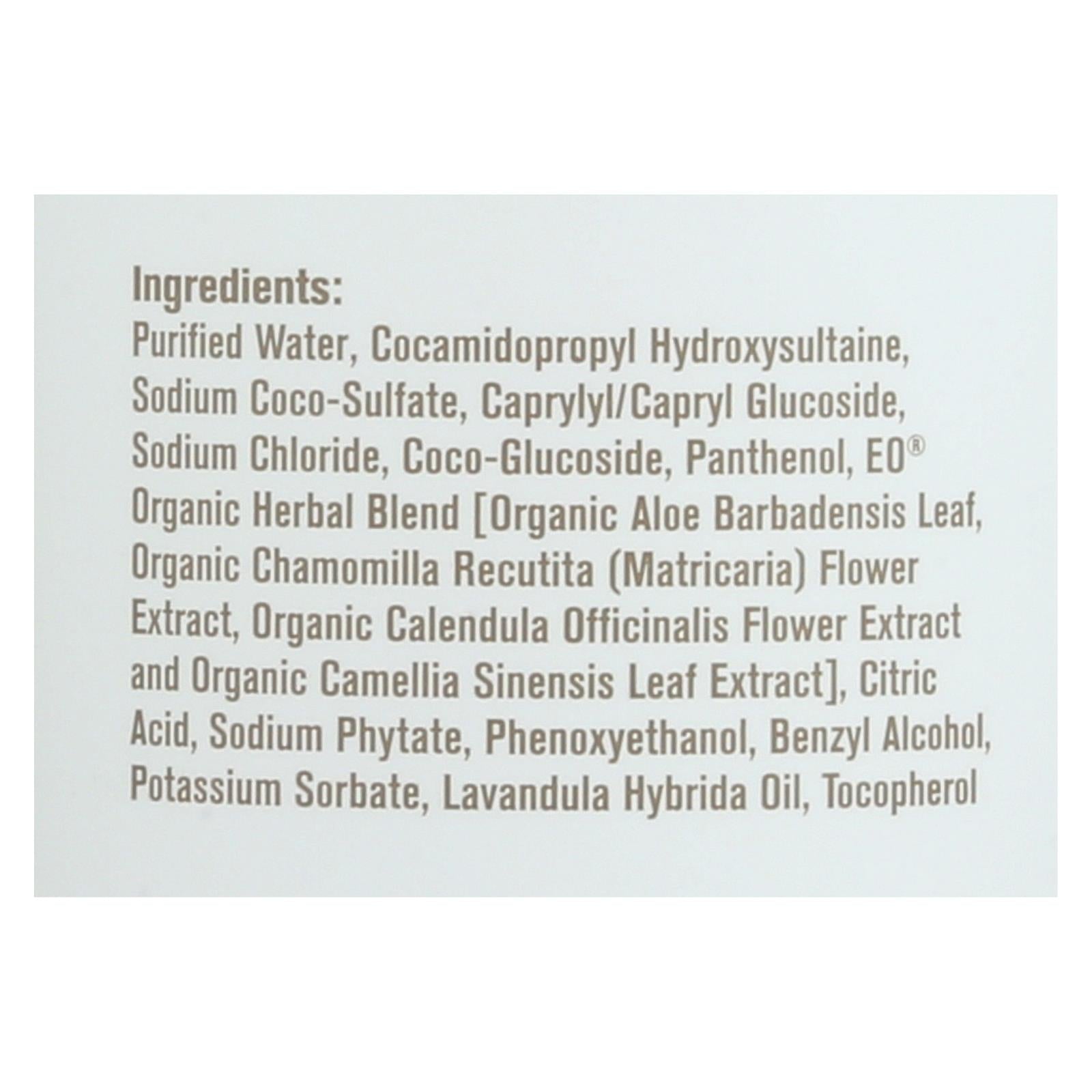 Everyone - Soap - Unscented - 32 Fl Oz - Eco-Friendly Home & Grocery