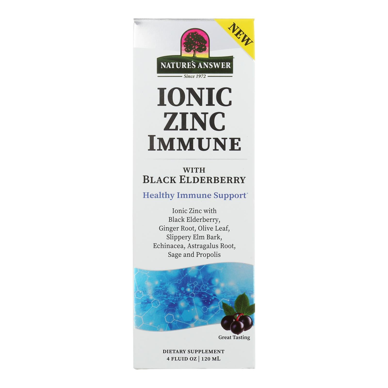 Nature's Answer - Ionic Zinc Immune Eldrbry - 1 Each-4 Fz - Home & Garden