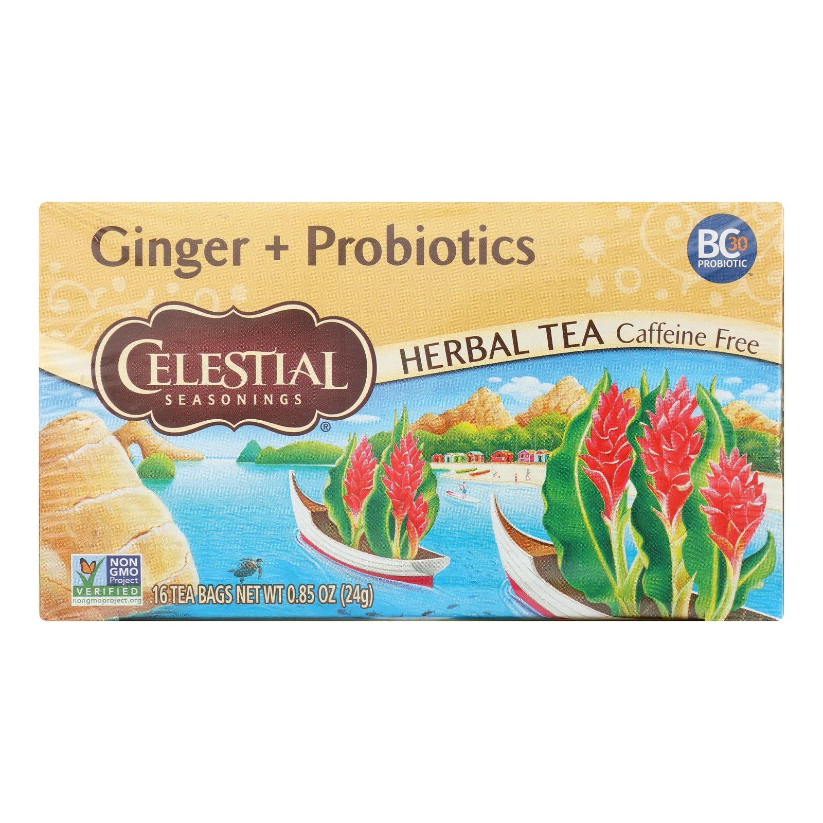Celestial Seasonings - Tea Ginger And Probiotics - Case Of 6-16 Bag - GreatEagleInc