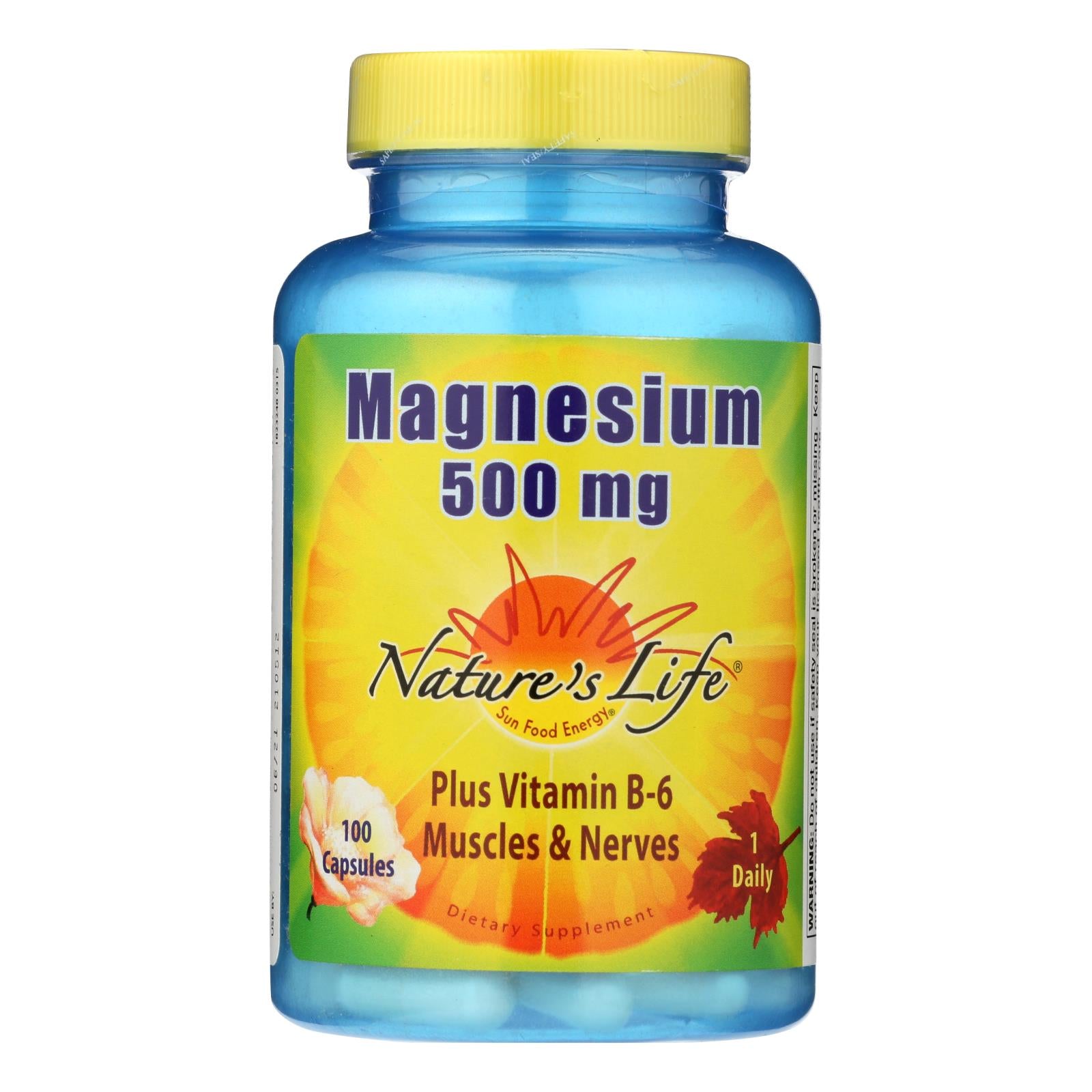 Nature's Life - Magnesium 500mg - 1 Each 1-100 Cap - GreatEagleInc