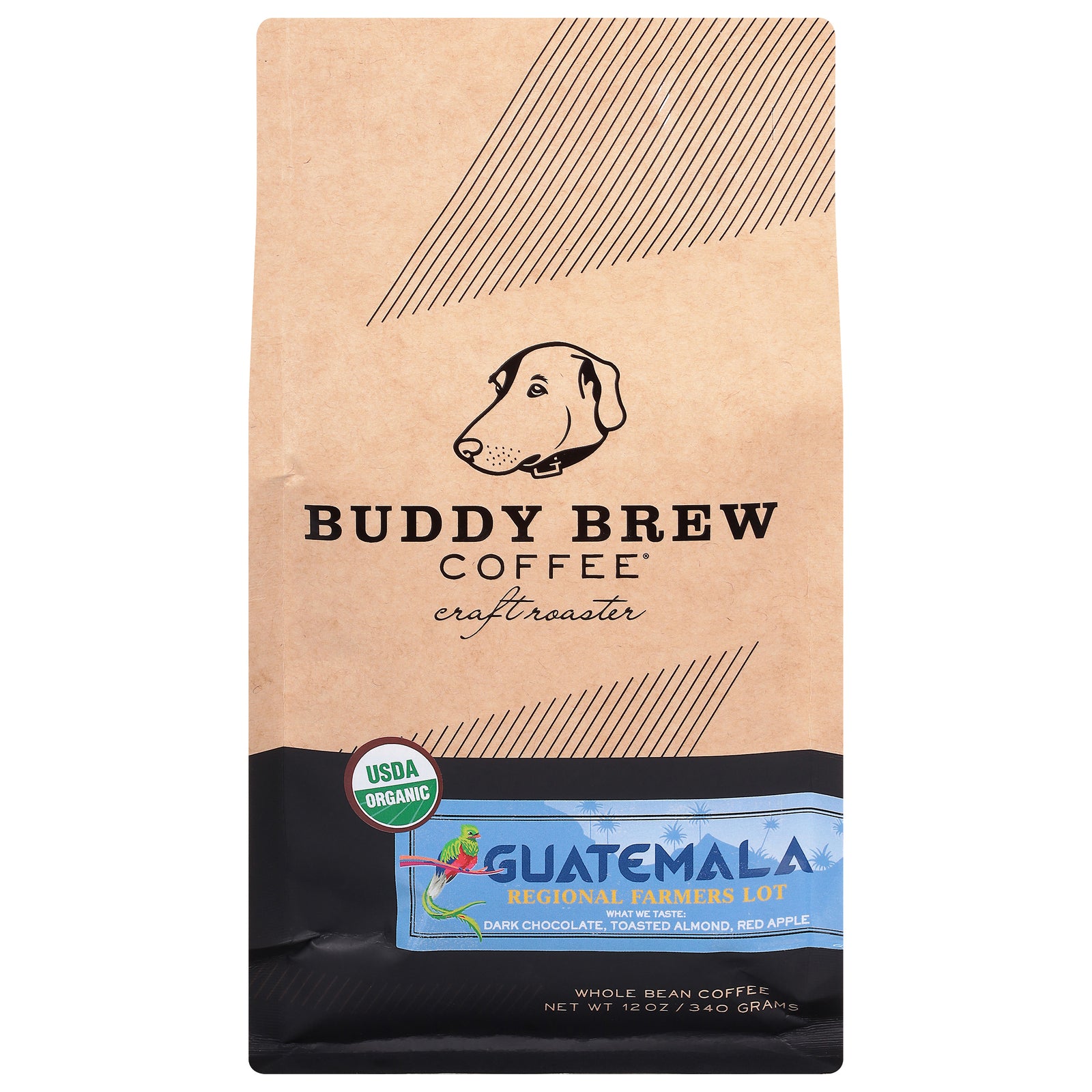 Buddy Brew - Coffee Whole Bean Guatemala - Case Of 6-12 Oz - GreatEagleInc