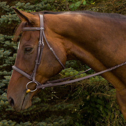 Leather padded bridle with raised browband and laced reins, dark metal fittings