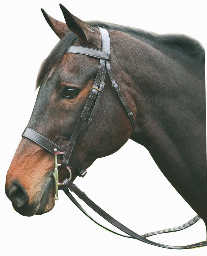Brown leather hunting bridle with browband, noseband, and attached reins