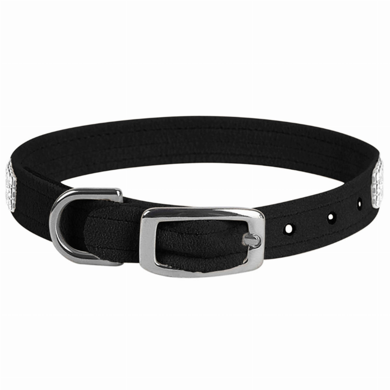Black dog collar with silver buckle and metal D-rings, with small rivet studs