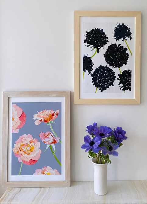 Art Print - Black Scabiosa on Snow / Large - Home Decor