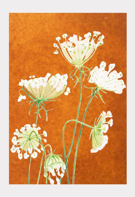 Art Print - Queen Anne's Lace on Rusty Orange / Small - Home Decor