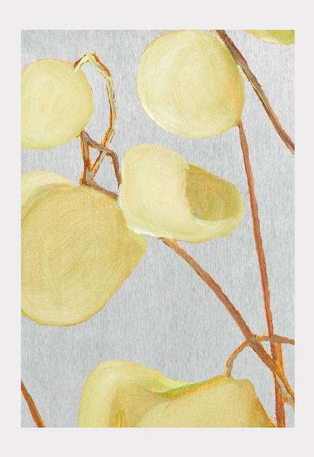 Art Print - Milkweed on Pale Grey / Large - Home Decor