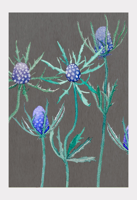 Art print with purple thistle flowers and teal stems, botanical line style