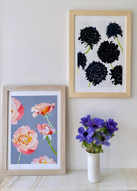 Framed art print featuring black scabiosa blossoms on a light background
