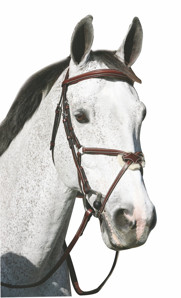 Raised figure-eight bridle with rubber reins on a white horse