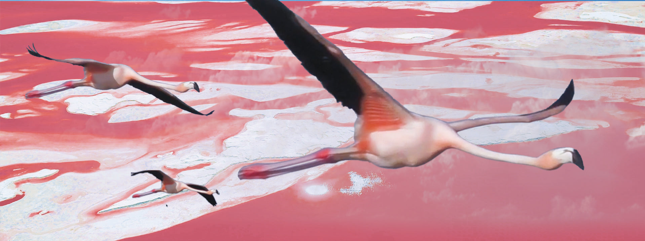Flamingo motion bookmark with 6 in ruler, pink bird illustration in mid-step