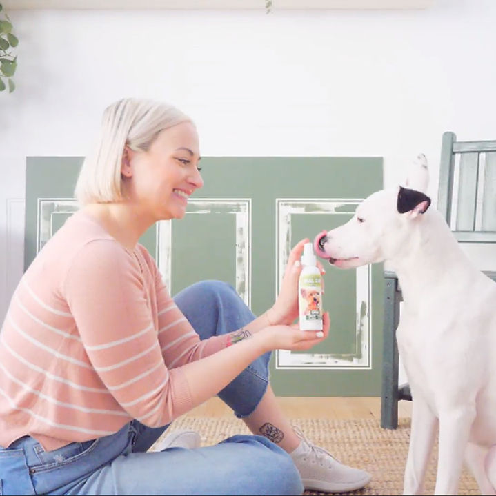 Oral care gel being offered to a white dog by a person holding the bottle.