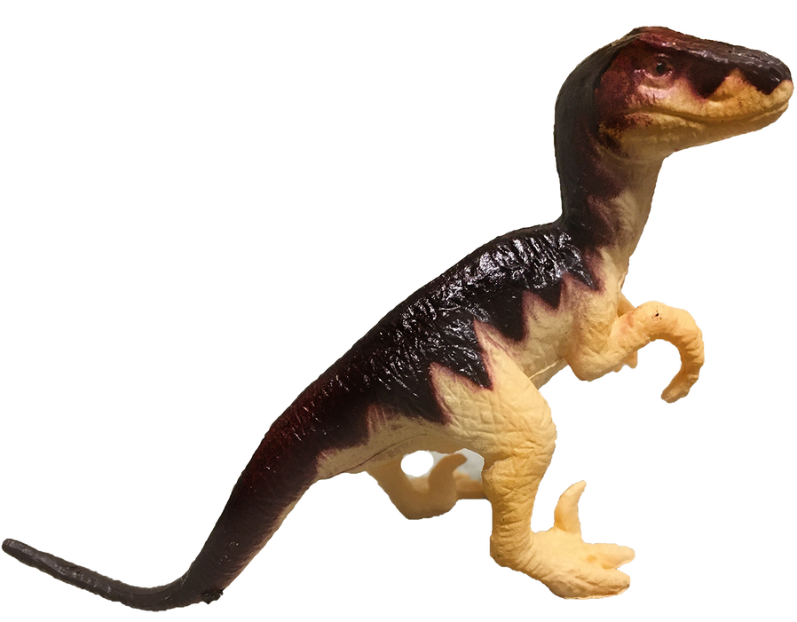Dinosaur Assortment B, 3" Dinos in Clear Container 6pcs - Toys