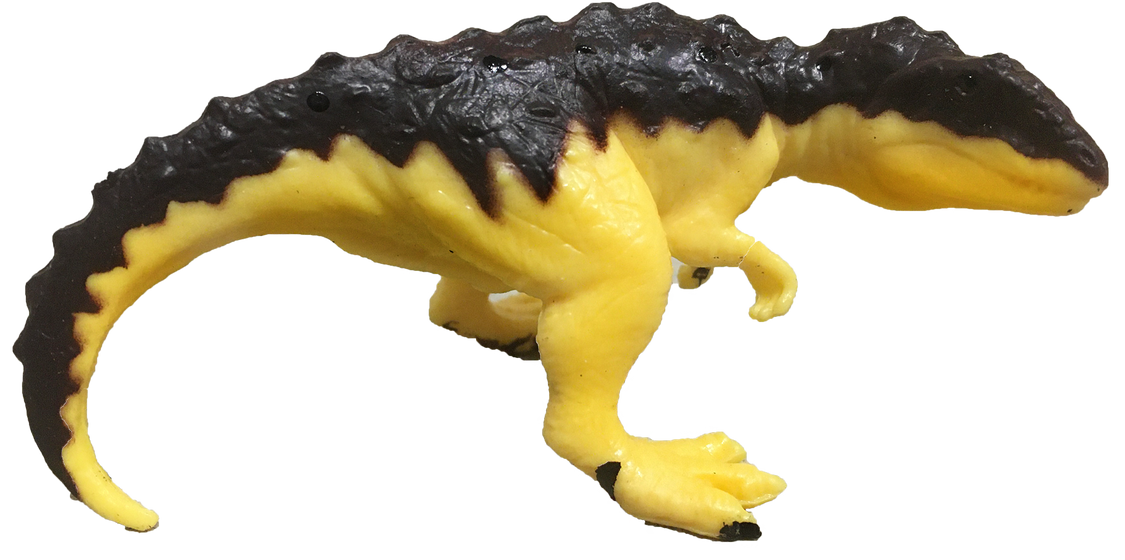 Dinosaur Assortment B, 3" Dinos in Clear Container 6pcs - Toys