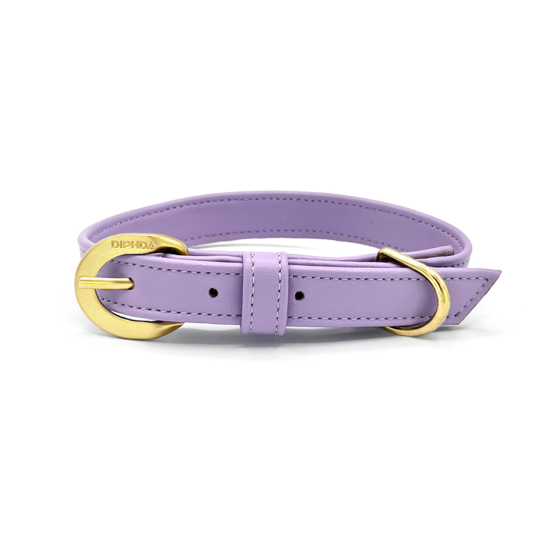 Lavender dog collar with gold buckle, stitched strap, and metal rings