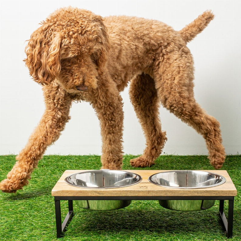 Two-bowl elevated feeder with natural wood top and black metal legs, dog feeding
