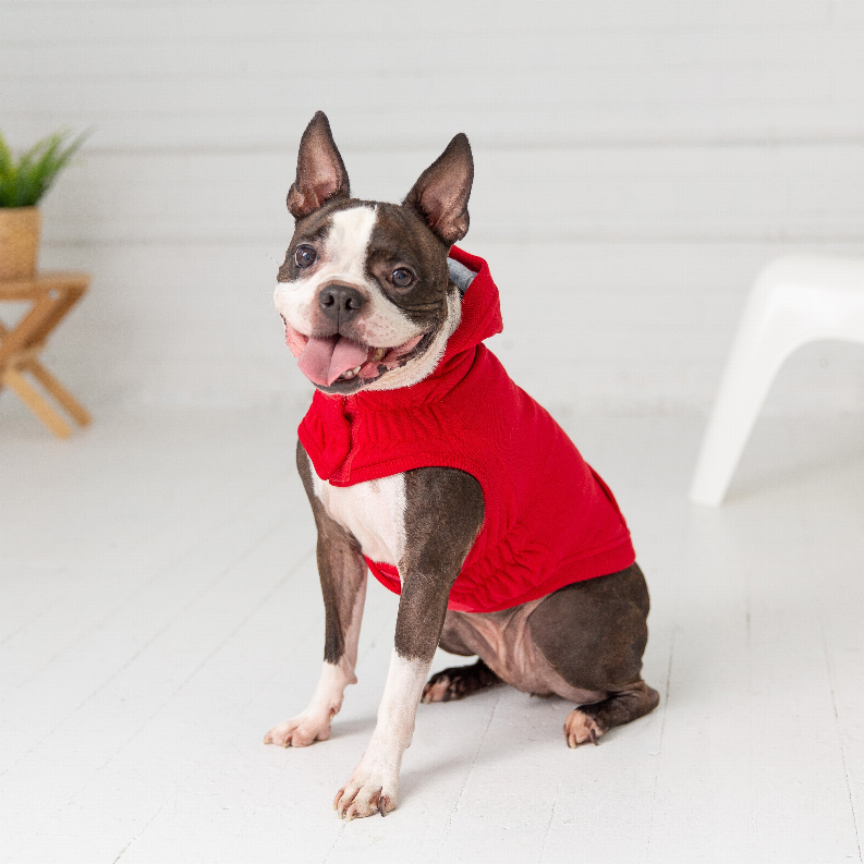 Elasto-Fit Urban Dog Hoodie - Red / 1 / 2XS - Pet Supplies