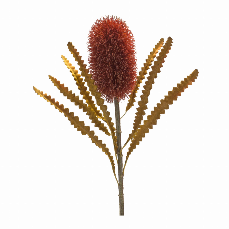 Rust-red plastic banksia flower stem with five spiky leaf branches, approx. 24 in tall