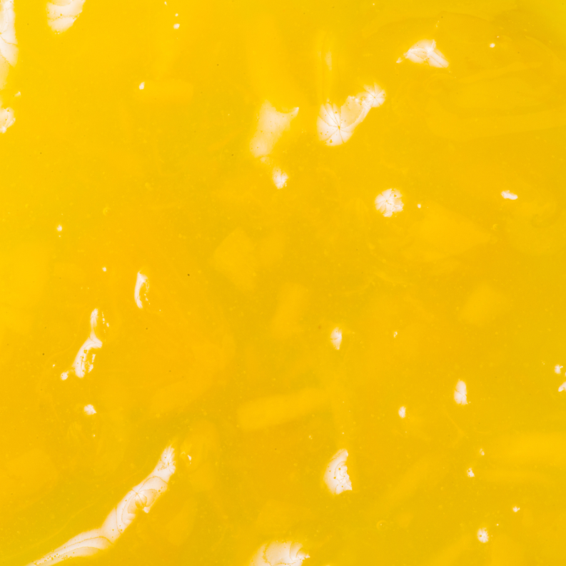 Yellow gel surface with floating white specks, close-up texture