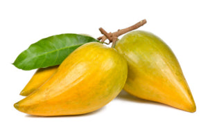 Lucuma powder ingredient, fresh lucuma fruits with green leaves