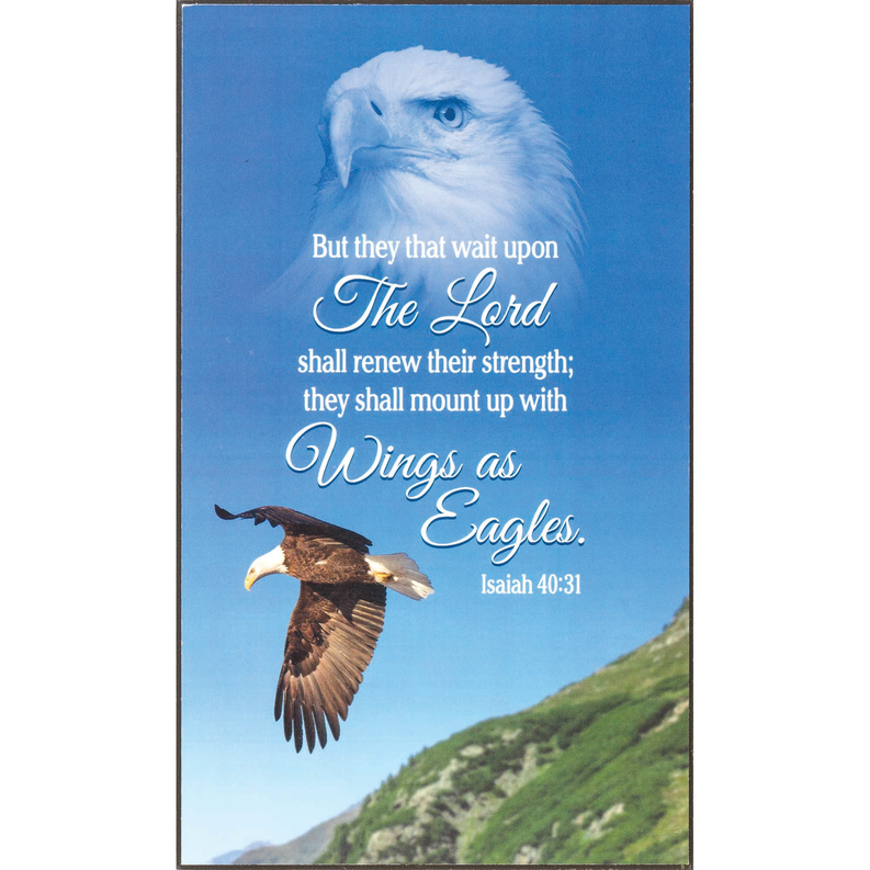 Eagle Isaiah 40:31 wall plaque, MDF, 6x10, with verse lettering and two eagles