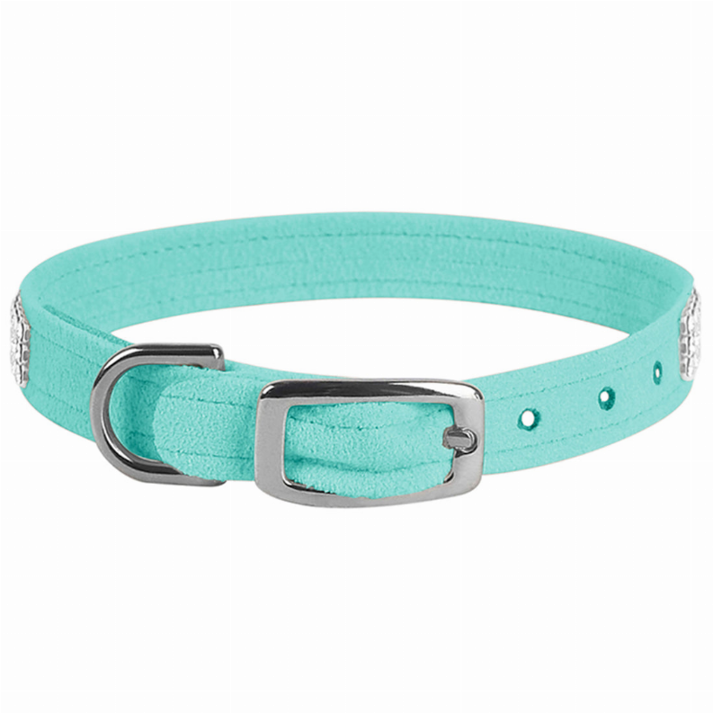 Turquoise dog collar with silver buckle and small crystal studs
