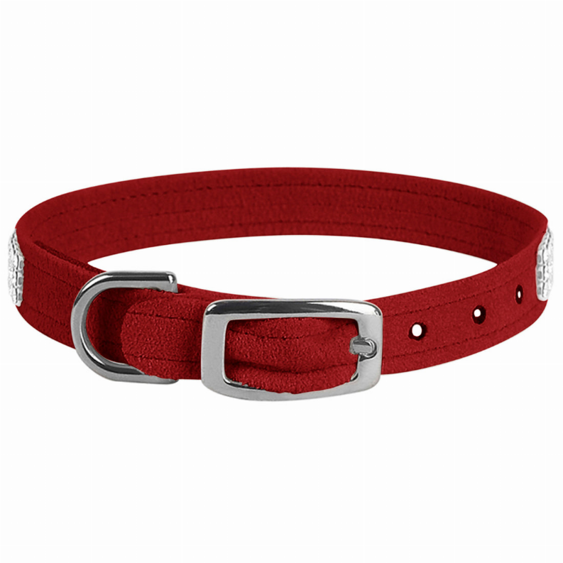 Red fabric dog collar with silver buckle and grommet holes