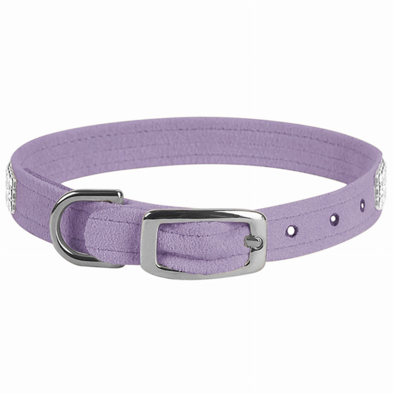 Lavender dog collar with silver buckle and metal grommet holes