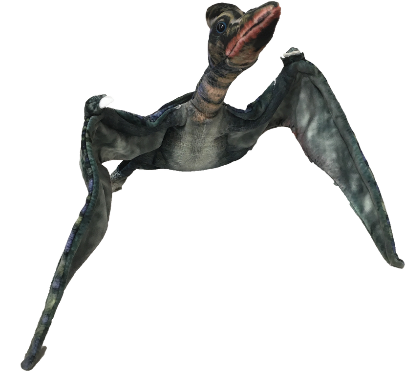 26-inch pterosaur plush, angled pose with lifted wing, dark blue-green top and gray underside