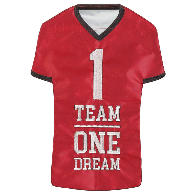 Red football jersey with black trim, V-neck, number 1 and TEAM ONE DREAM text