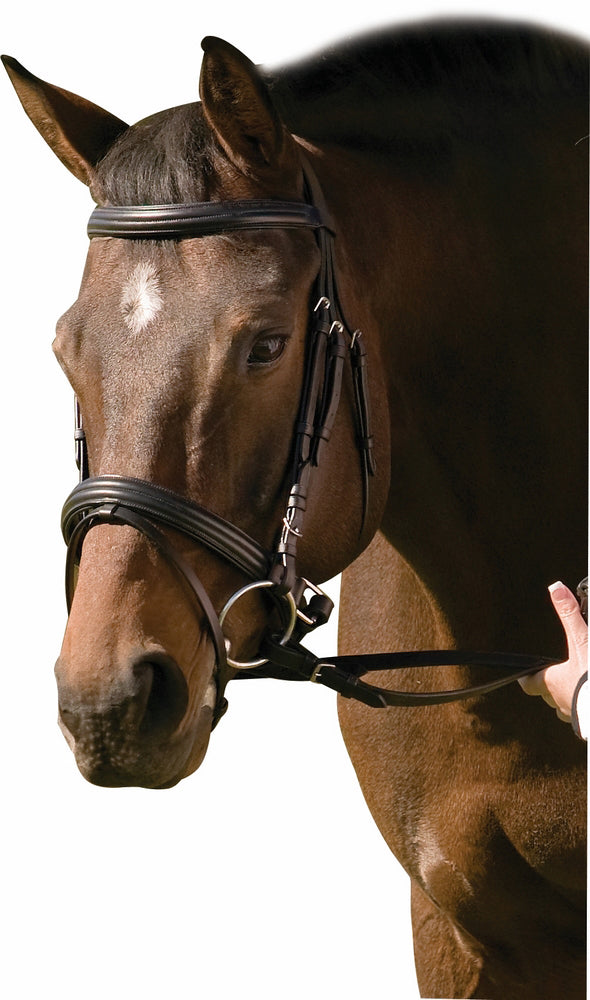 Black padded raised dressage bridle with crank flash noseband and web reins