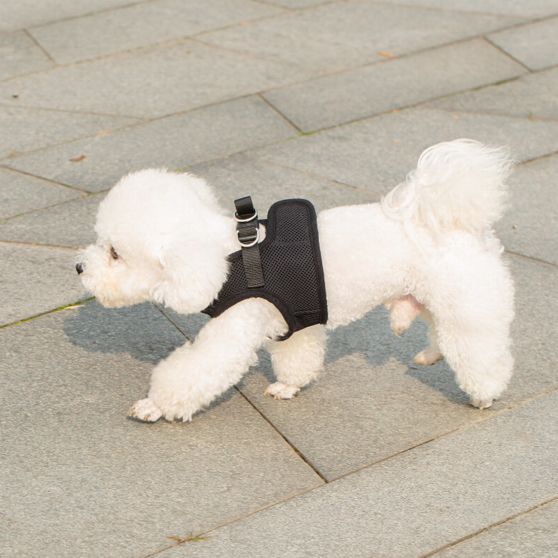 Black step-in mesh harness vest with front strap on small dog