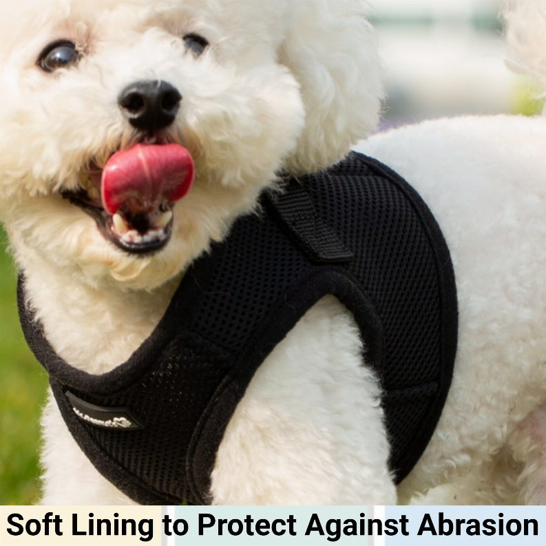 Black soft mesh step-in dog harness vest with padded collar detail