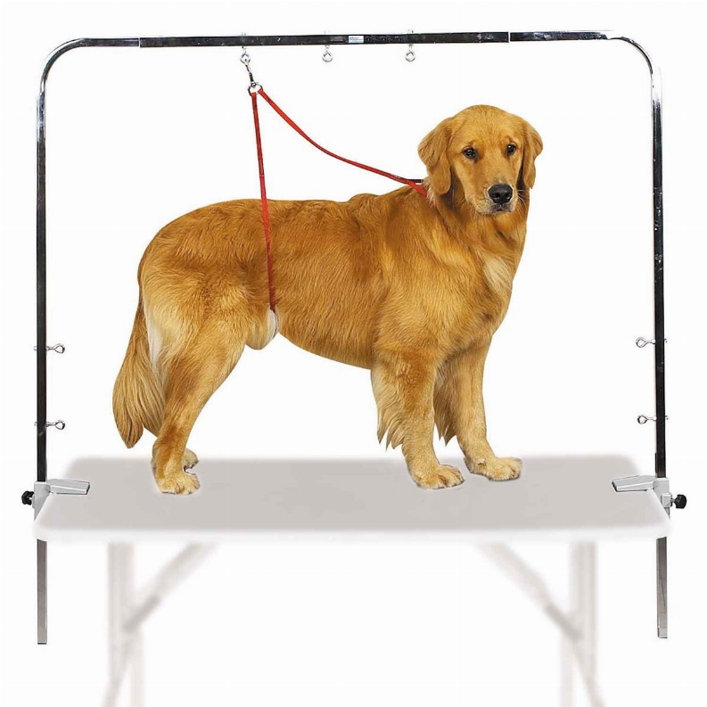 Overhead grooming arm with hanging leash, 48 in length for dog grooming table