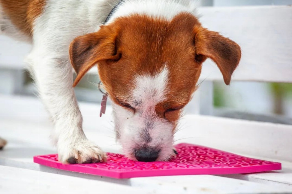 Pink flower-pattern lick mat on a table as a puppy sniffs and licks it