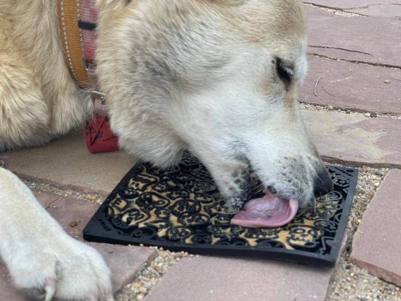 Dog licking a black textured lick mat with raised zombie faces on a patio