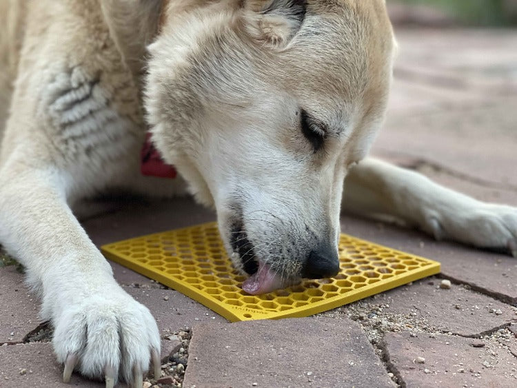 Dog licking a yellow honeycomb lick mat on a patio floor