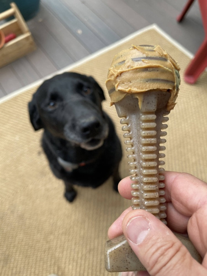 Brown nylon dental tower chew toy held in a hand with a black dog nearby