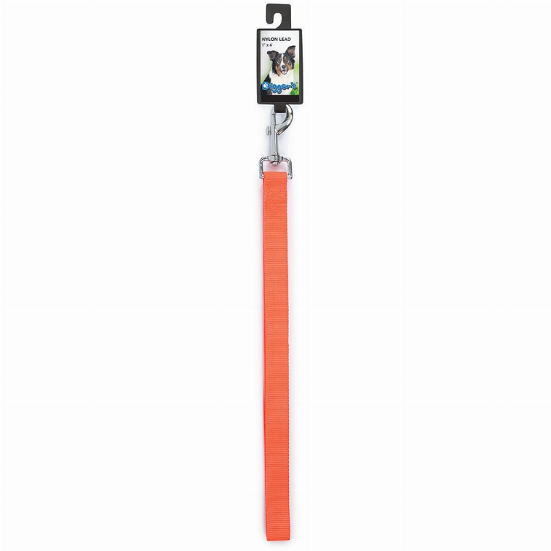DGR 1in Nylon Lead - Neon Orange / 1 / 72in - Pet Supplies