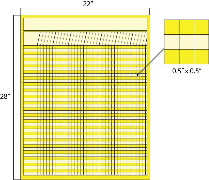 Vertical chart with yellow grid and size labels 22 in by 28 in
