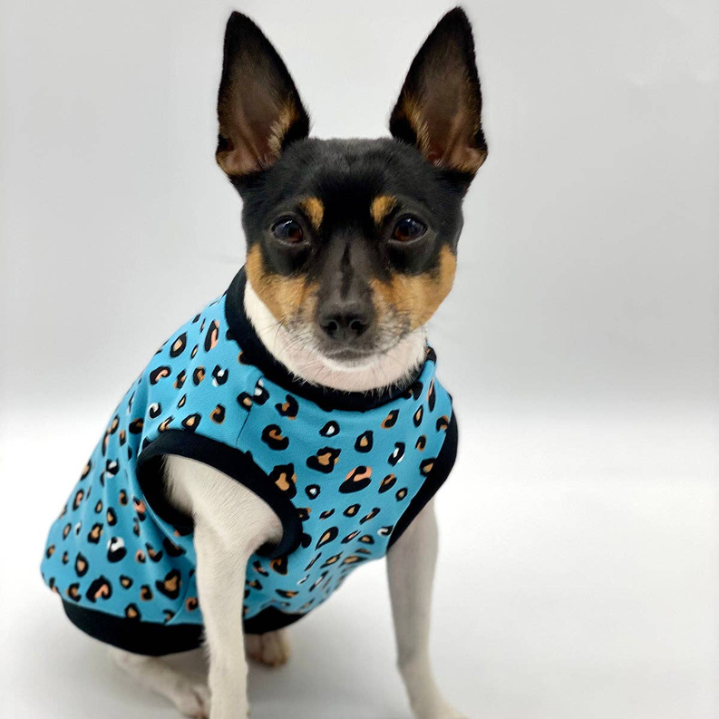 DCNY Teal Leopard Print Tank - Limited Edition - 1 / MD - Pet Supplies