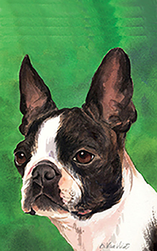 Boston Terrier portrait flag with close-up black and white dog face