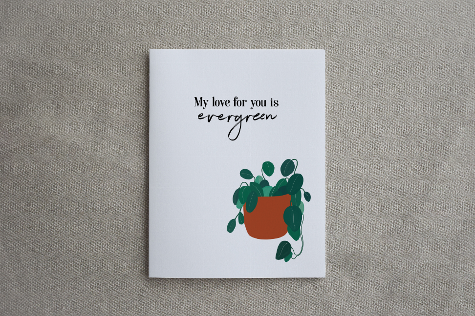 Evergreen quote greeting card featuring cursive message and leafy plant in terracotta pot