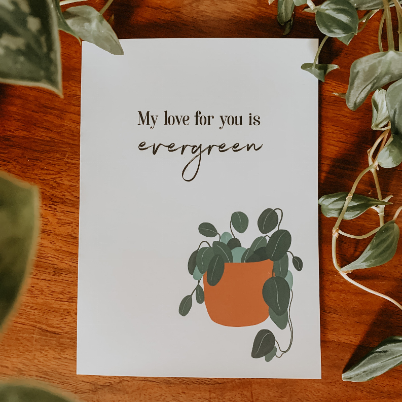 Evergreen greeting card with cursive quote and green vine leaves in terracotta planter