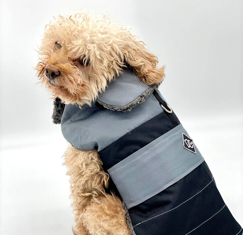 DoggieCoutureNY Water Resistant Coat - Pet Supplies