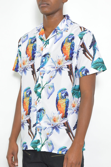 Short sleeve button-up shirt, white with colorful parrot and flower print