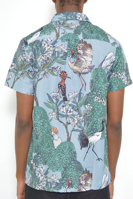 Back view of short-sleeve button-up shirt with bird-and-foliage print on light blue